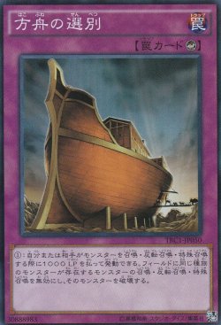 画像3: 方舟の選別