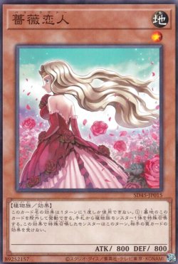 画像3: 薔薇恋人