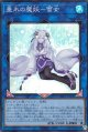 垂氷の魔妖-雪女