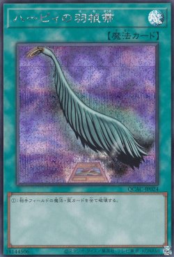 画像5: ハーピィの羽根帚