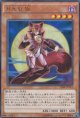月光紅狐