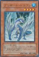 ブリザード・ドラゴン