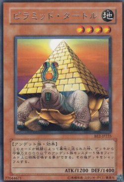 画像3: ピラミッド・タートル