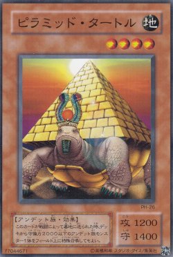 画像1: ピラミッド・タートル