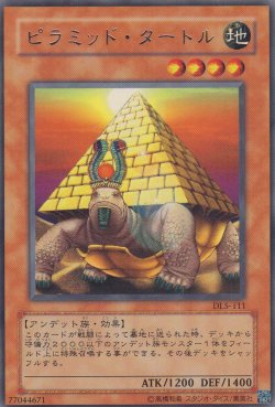 画像2: ピラミッド・タートル