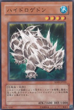 画像2: ハイドロゲドン