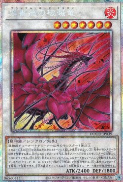 画像2: 黒薔薇の破滅竜