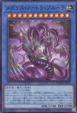 画像1: メガリス・ノートラ・プルーラ
