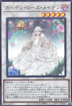 画像3: ガーデン・ローズ・メイデン