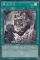 融合派兵(イラスト違いスーパー)