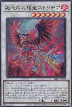 画像1: 獄花の大燿聖ストリチア