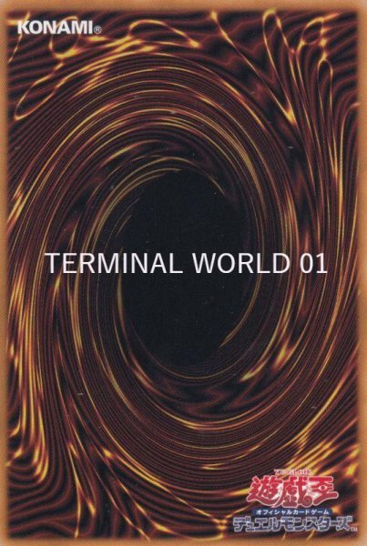 画像1: TERMINAL WORLD (1)