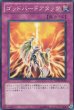 画像5: ゴッドバードアタック (5)