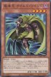 画像3: 風来王ワイルド・ワインド (3)