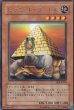 画像3: ピラミッド・タートル (3)