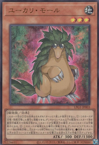 画像1: ユーカリ・モール (1)