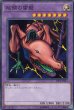 画像6: 双頭の雷龍 (6)