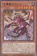 画像2: レア (2)